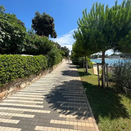 Villa Salteria 3, Pool, Private Territory, Pinery Rovinj