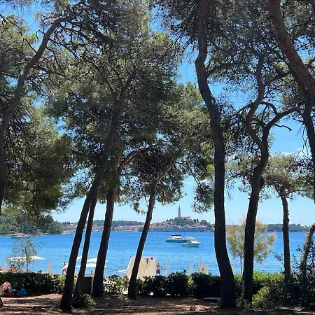Villa Salteria 3, Pool, Private Territory, Pinery Rovinj